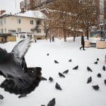 Flying Cars: When Will They Become a Reality?