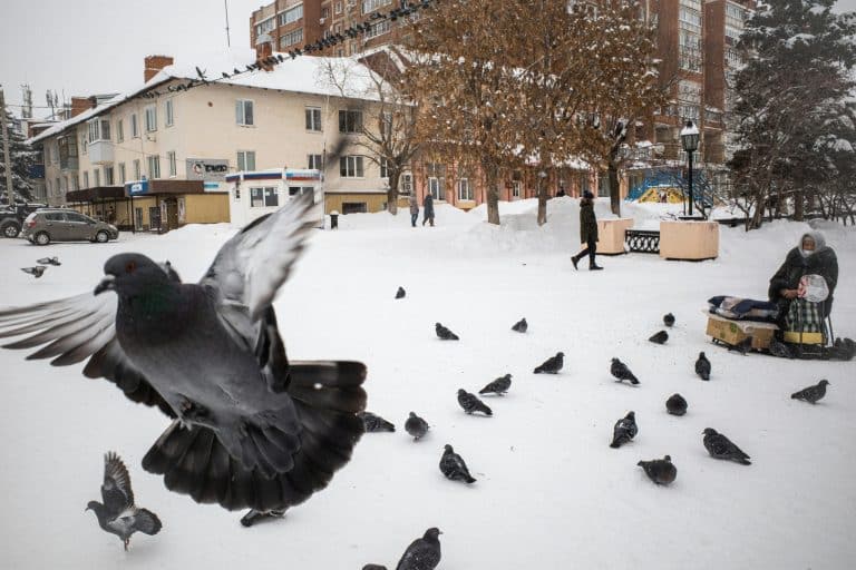 Flying Cars: When Will They Become a Reality?