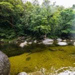 Biofuel Innovations: Sustainable Alternatives for Rural Areas