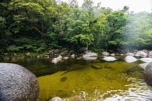 Biofuel Innovations: Sustainable Alternatives for Rural Areas