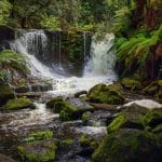 Eco-Friendly Escapes: Costa Rica’s Rainforest Retreats