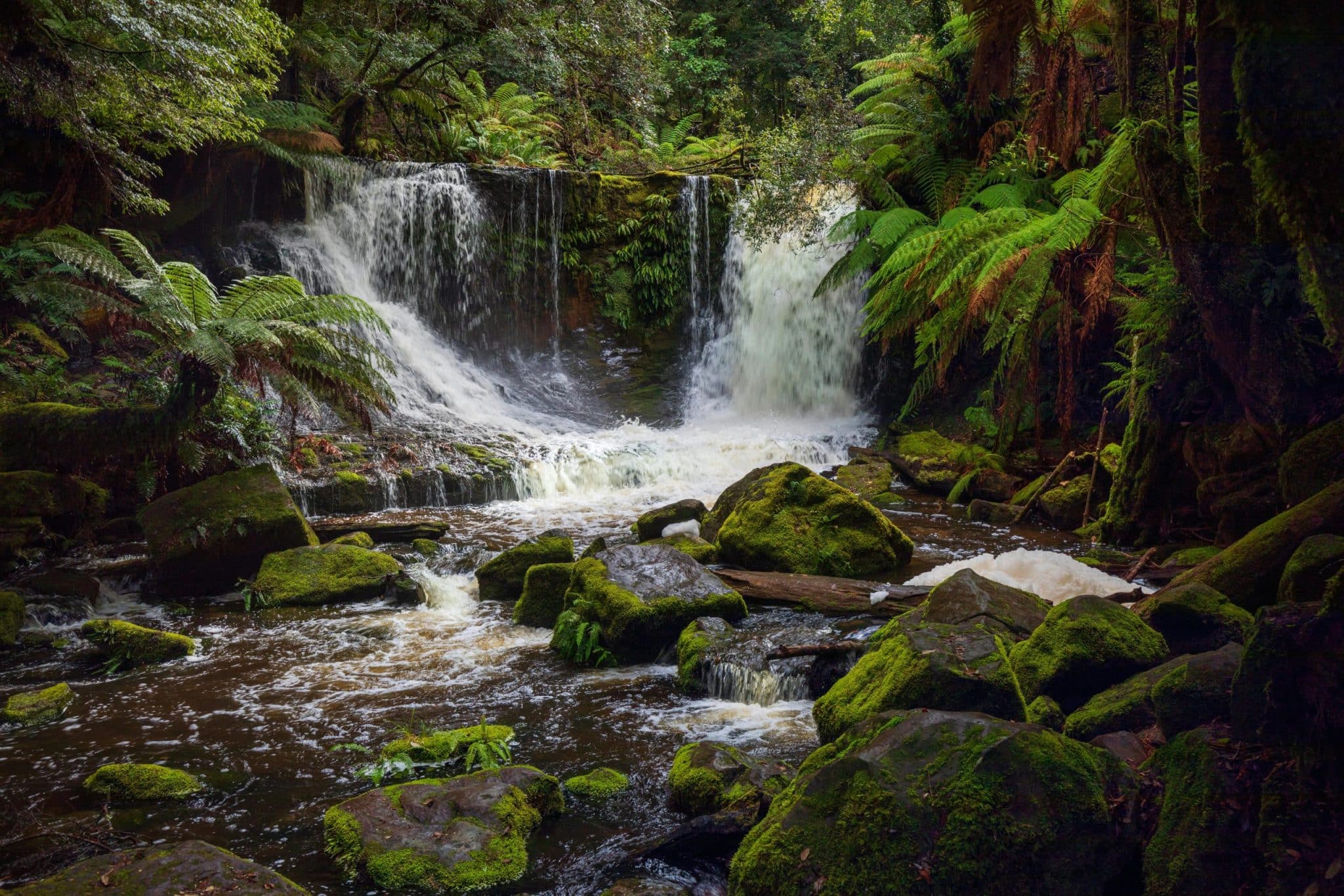 Eco-Friendly Escapes: Costa Rica’s Rainforest Retreats