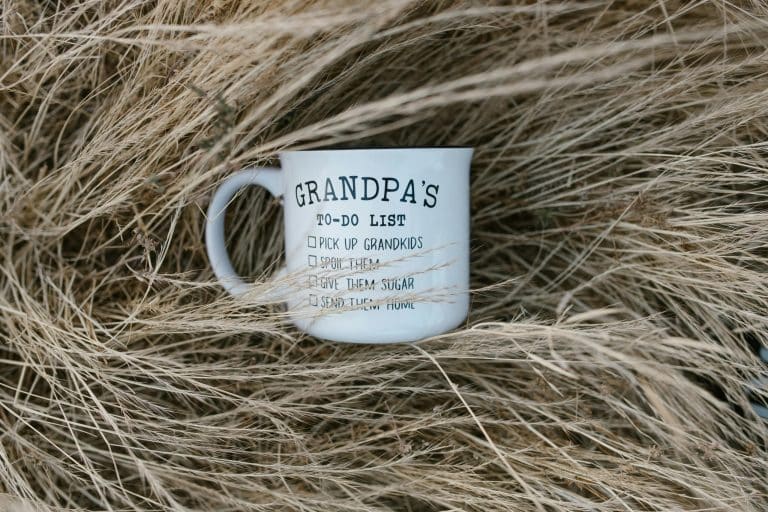 The Role of AI in Enhancing User Experience: Personalized Home Settings