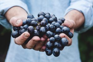 AI-Powered Food Inspection: Detecting Contaminants with Machine Learning