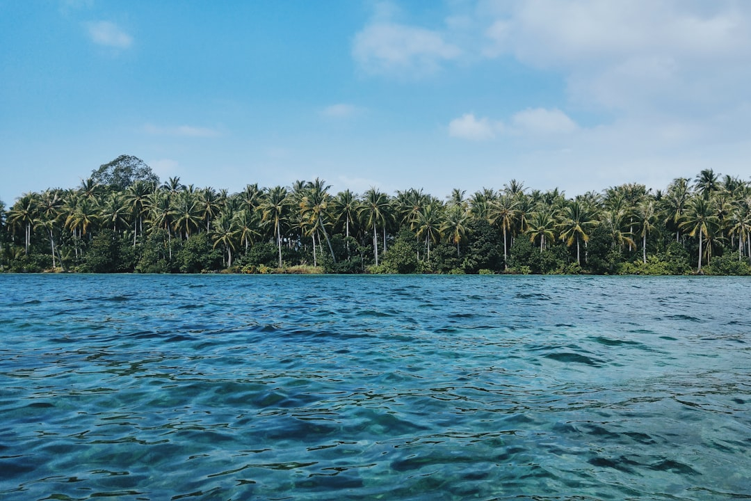 Private Island Subscriptions: Year-Round Access to Exclusive Atolls