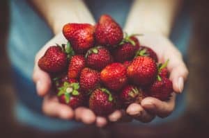 Digital Food Retail: Online Grocery Shopping and Meal Kits