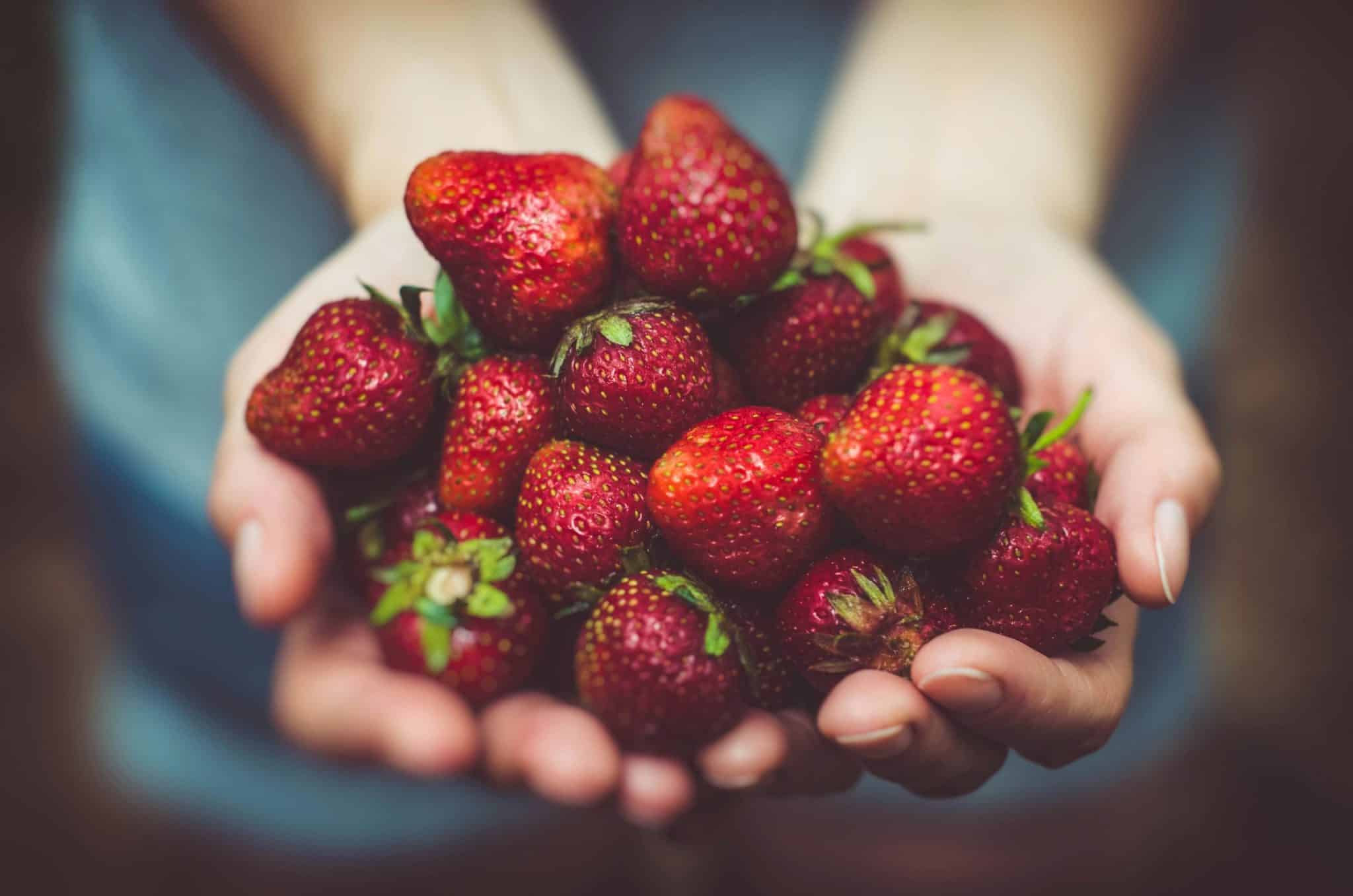 Digital Food Retail: Online Grocery Shopping and Meal Kits