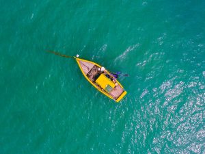 Brazil’s Growing Demand for Smart Devices: Market Insights