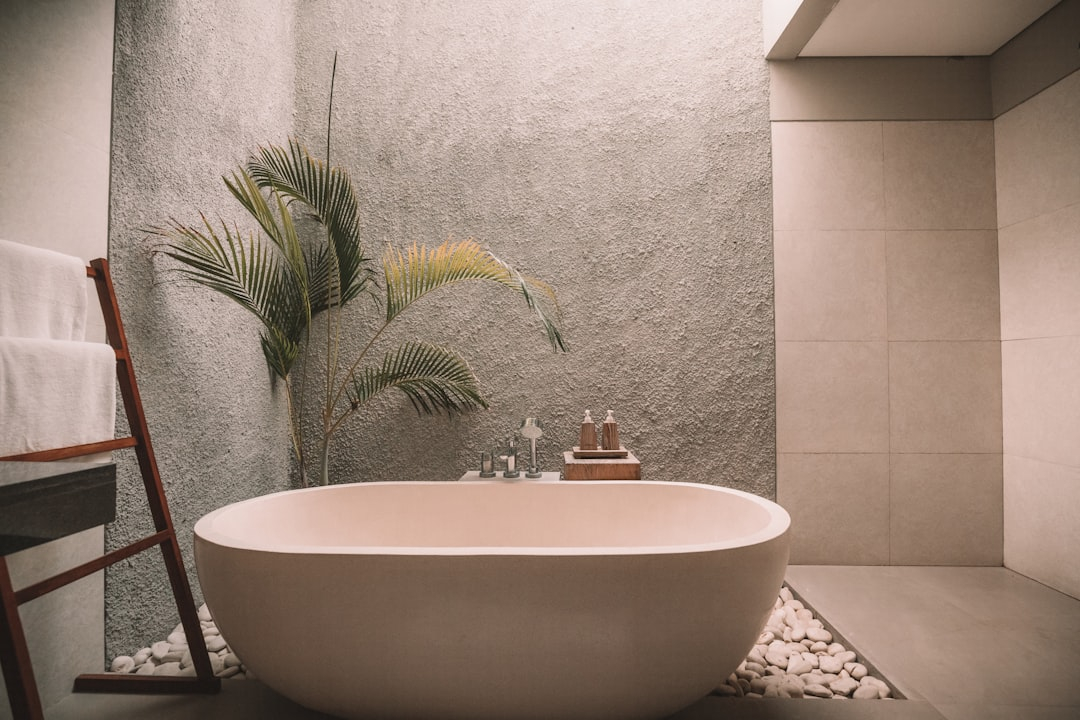 Brazil’s Growing Demand for Smart Home Devices: Market Insights