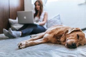 Smart Home AI Systems: Seamless Integration for Enhanced Living