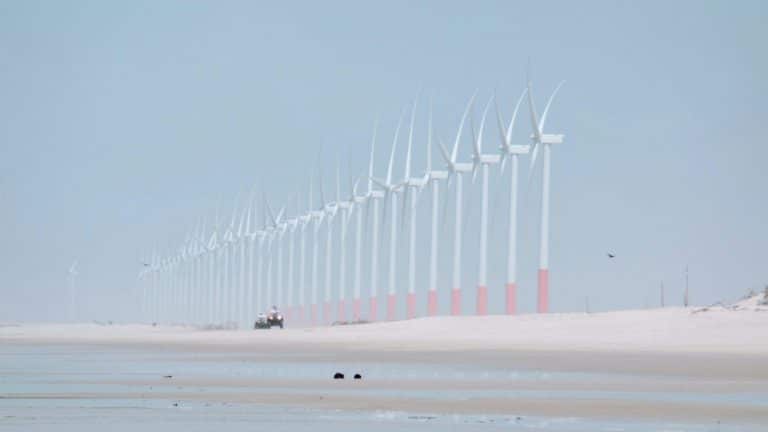 Algae-Based Foods: Sustainable Alternatives for the Future