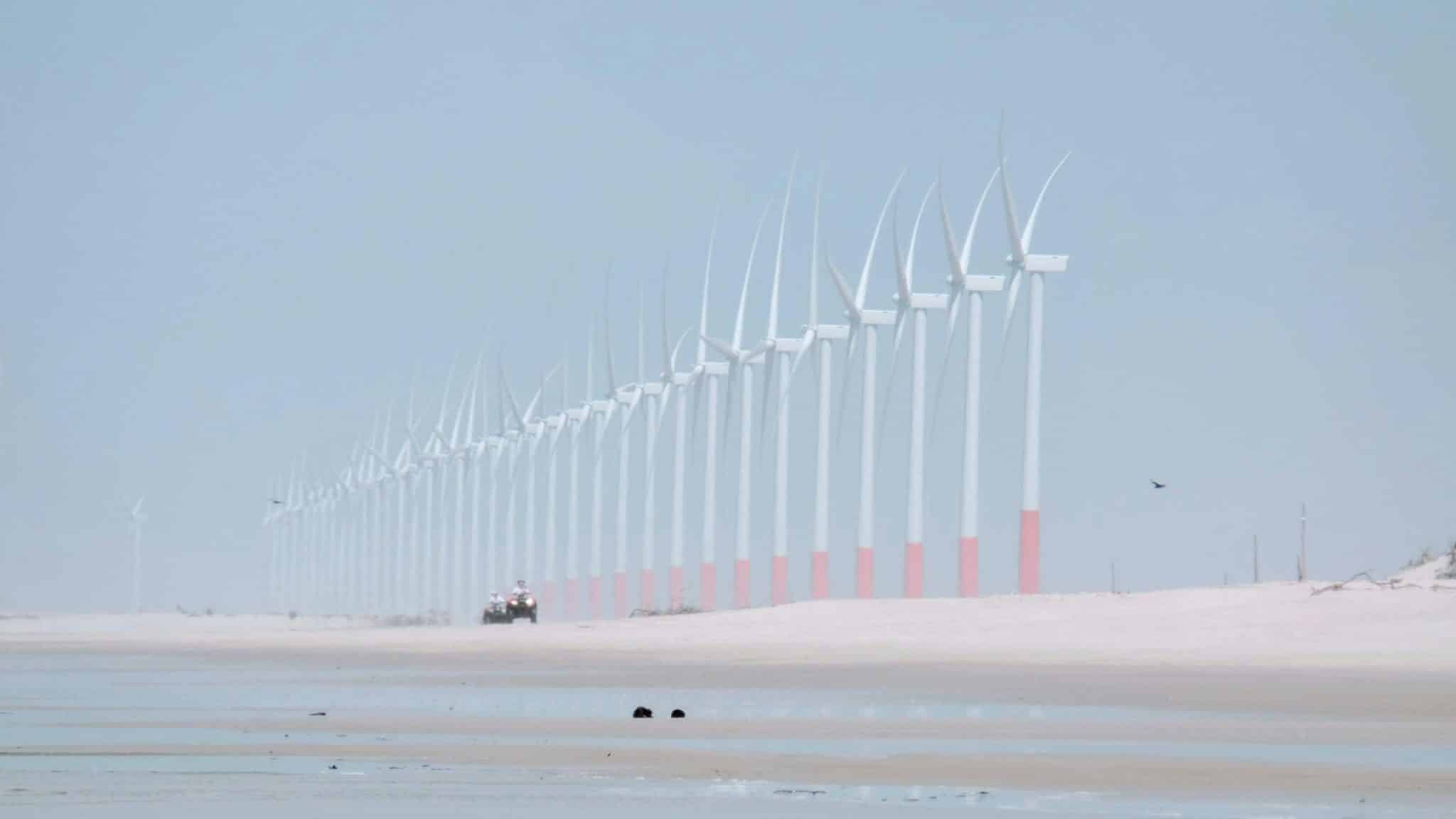 Algae-Based Foods: Sustainable Alternatives for the Future