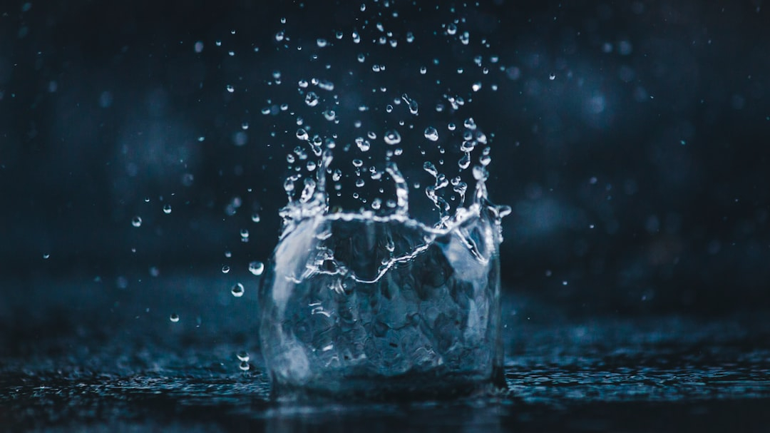 Eco-Friendly Dishwashers: Biodegradable Detergents and Reduced Water Use