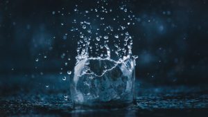 Eco-Friendly Dishwashers: Biodegradable Detergents and Reduced Water Use