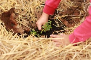 Recyclable Appliance Materials: The Shift Towards Sustainable Manufacturing