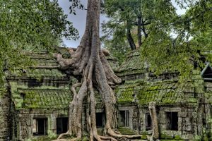Celebrity Ghost Towns: Abandoned Estates Turned High-End Rentals