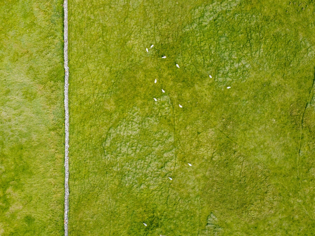 Green Proptech: Innovations in Energy Efficiency and Eco-Friendly Materials