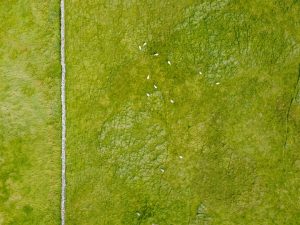 Green Proptech: Innovations in Energy Efficiency and Eco-Friendly Materials