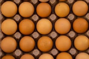 Personalized Nutrition: AI-Generated Diets Based on Genetic Data