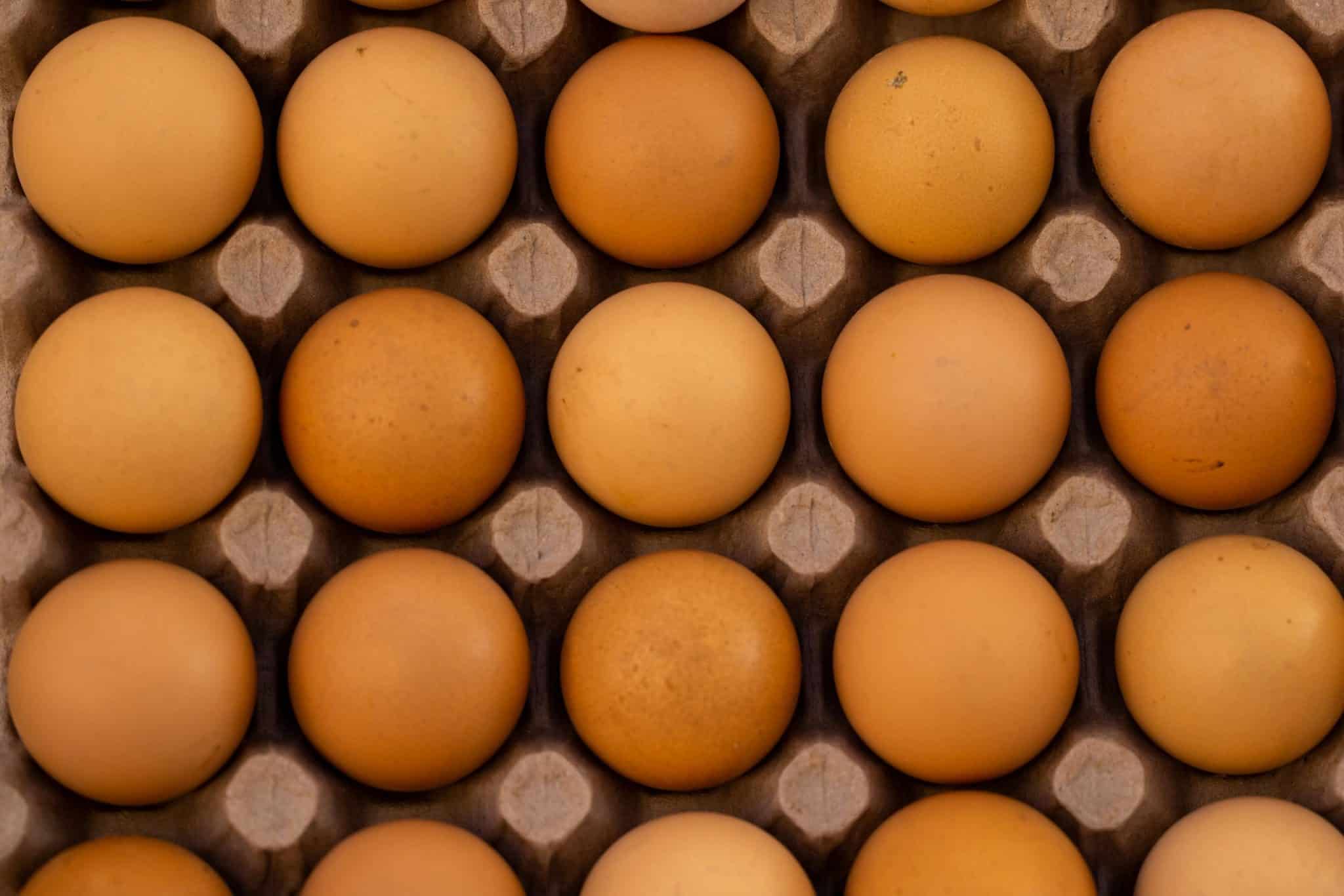Personalized Nutrition: AI-Generated Diets Based on Genetic Data