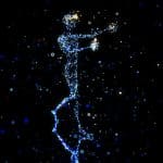 3D-Printed Neighborhoods: The Future of Affordable Housing