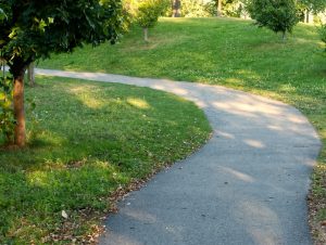 AI-Powered Vacuum Cleaners: Adaptive Cleaning Paths for Maximum Efficiency